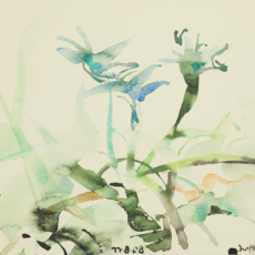 11. 8. 2008 - Aquarell - 30 x 25 cm - Ritterhude