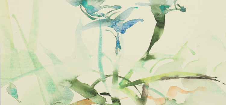 11. 8. 2008 - Aquarell - 30 x 25 cm - Ritterhude