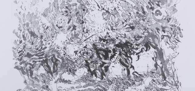 1982 - 2 farbige Lithografien - 65 x 49 cm - Ritterhude - Anidri-Oliven