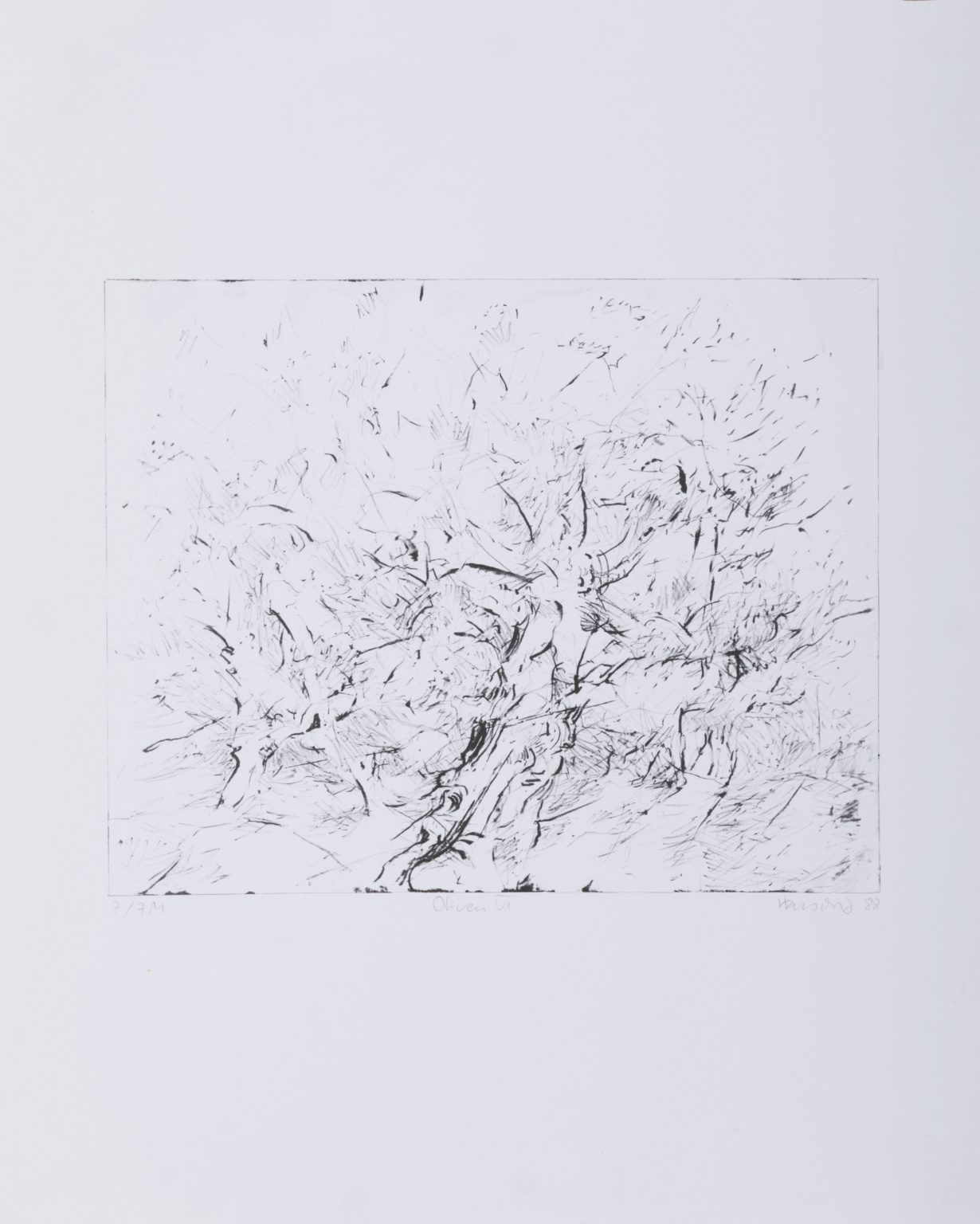 1988 - S:W Lithografie - 31 x 24,7 cm - Ritterhude - Oliven VI