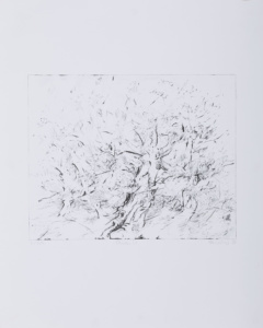 1988 - S:W Lithografie - 31 x 24,7 cm - Ritterhude - Oliven VI