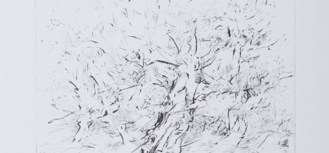 1988 - S:W Lithografie - 31 x 24,7 cm - Ritterhude - Oliven VI