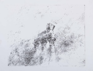 1988 - S:W Lithografie - 63 x 50 cm - Ritterhude - Euromos