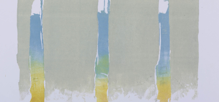 1990 - Farblithografie - 43 x 60 cm - Wasser Spiegelungen - Ritterhude
